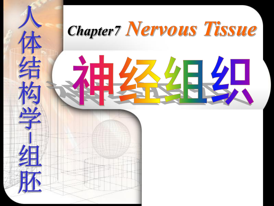 組織學(xué)和胚胎學(xué)：7 神經(jīng)組織_第1頁(yè)