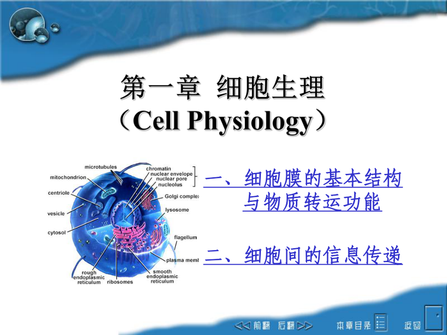 動物生理學(xué)教學(xué)課件：第一章細(xì)胞生理_第1頁