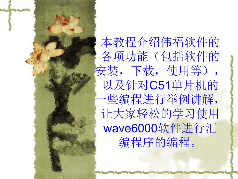 WAVE6000使用教程 中文详解_第1页