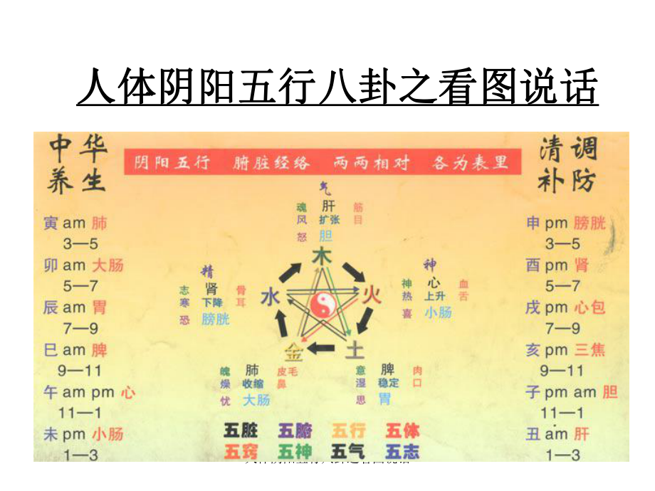 人体阴阳五行八卦之看图说话课件_第1页