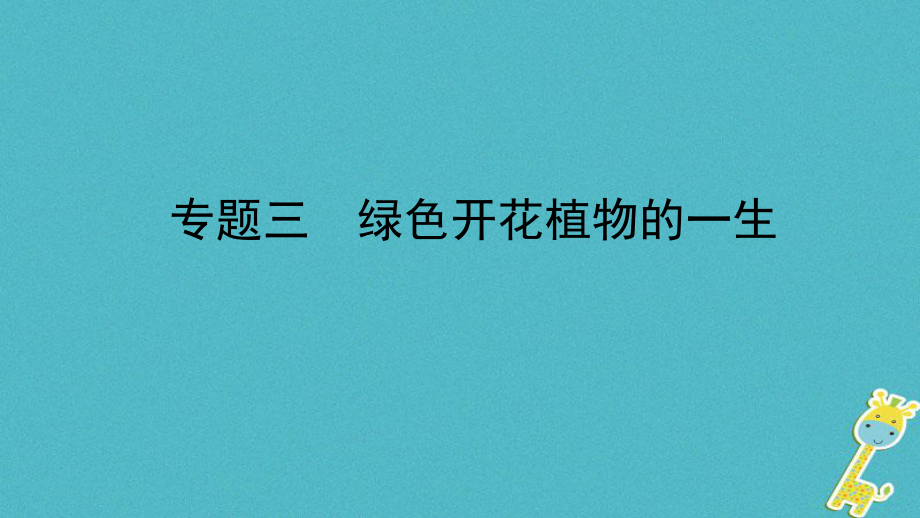 生物總?cè)?綠色開花植物的一生_第1頁