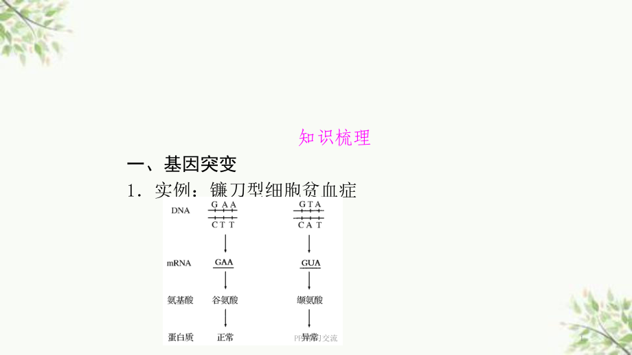 基因突變 知識點(diǎn)ppt課件_第1頁