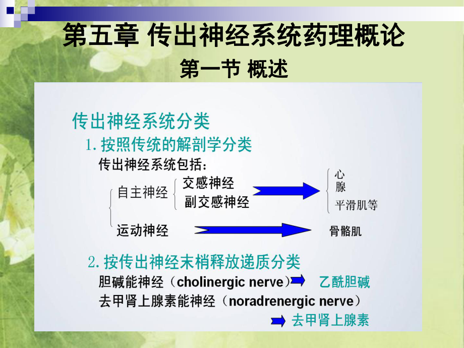 藥理學(xué)課件：第五章 傳出神經(jīng)系統(tǒng)藥理概論_第1頁(yè)