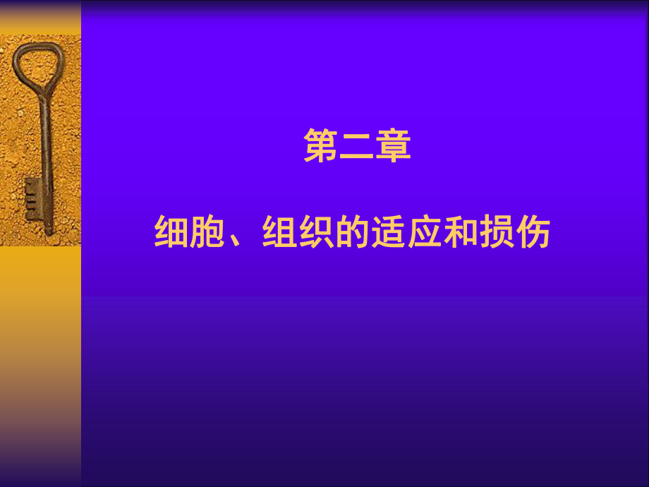 病理學(xué)教學(xué)課件：第二章 細(xì)胞組織的適應(yīng)和損傷_第1頁