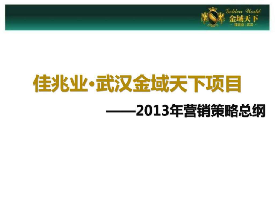 佳兆业·武汉金域天下项目营销策略总纲课件_第1页