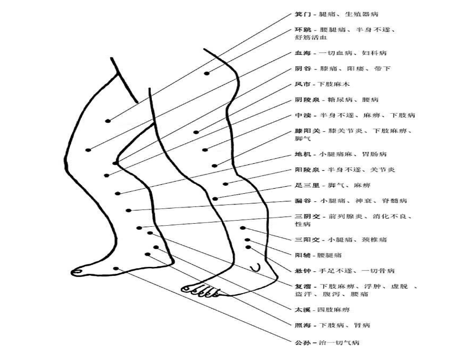 医药卫生人体穴位课件