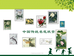 中国传统名花欣赏·月季课件