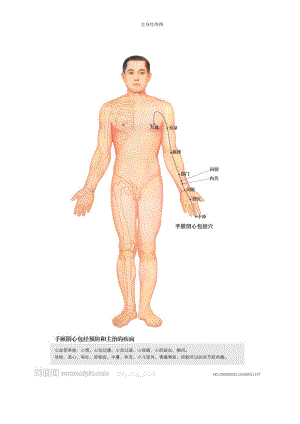 全身經(jīng)絡(luò)示范圖(免費(fèi))