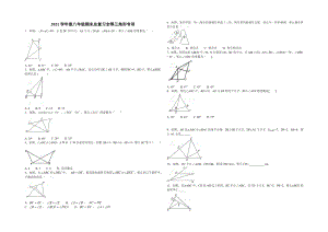 八年級(jí)上期末總復(fù)習(xí)《第12章全等三角形》專項(xiàng)練習(xí)(含答案)