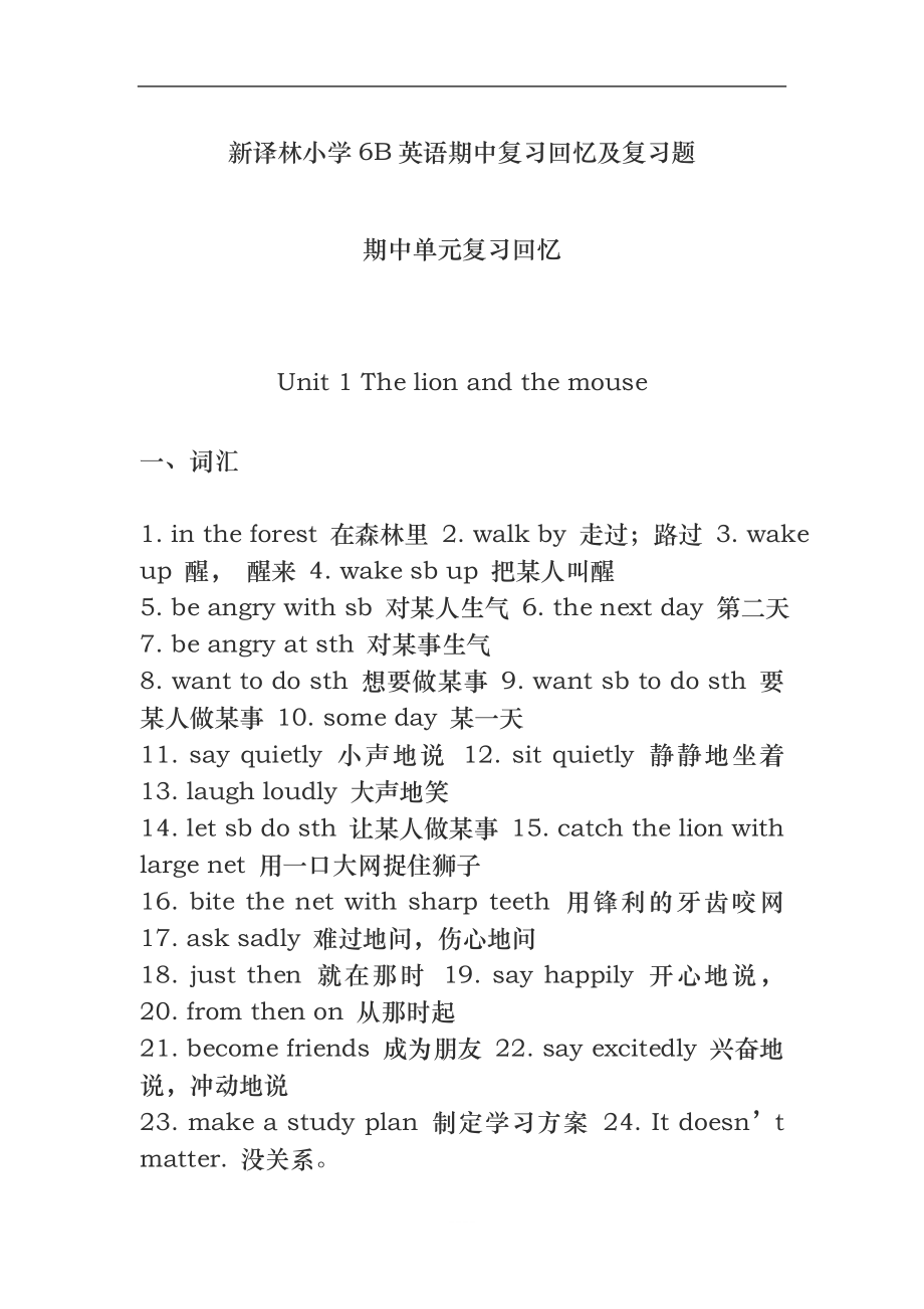 【個人精心制作】新譯林小學(xué)6B英語期中復(fù)習(xí)回顧及復(fù)習(xí)題_第1頁