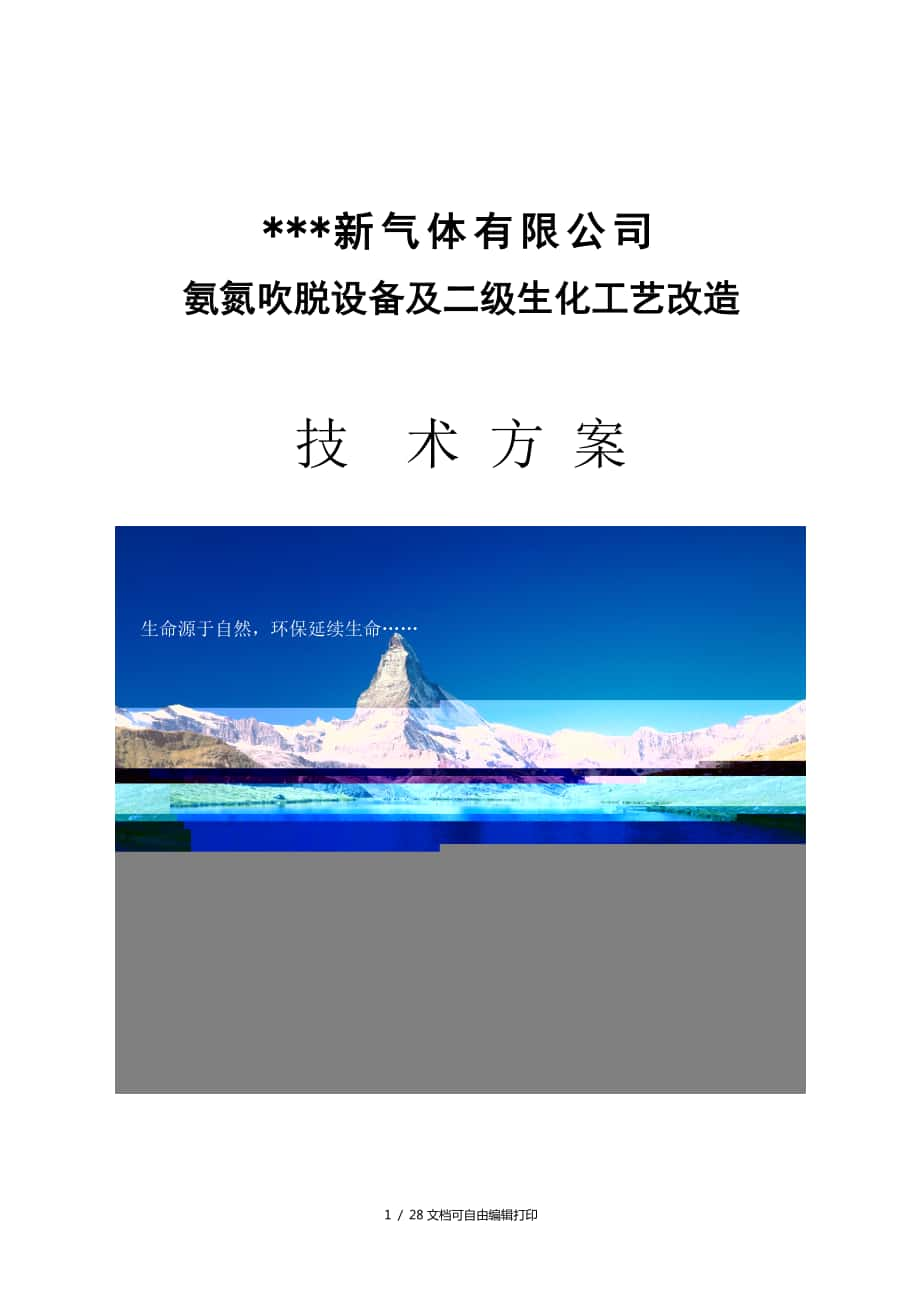 氨氮吹脫設(shè)備及二級生化工藝改造技術(shù)方案(方案計劃書)_第1頁