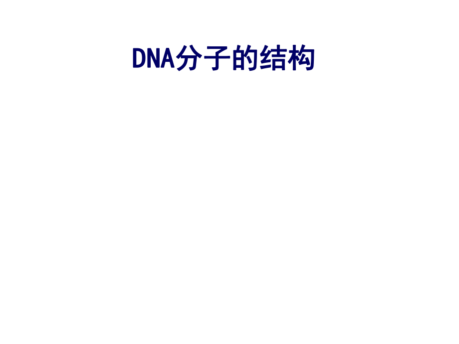 DNA分子的结构ppt课件_第1页