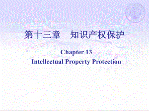 第十三章知识产权保护