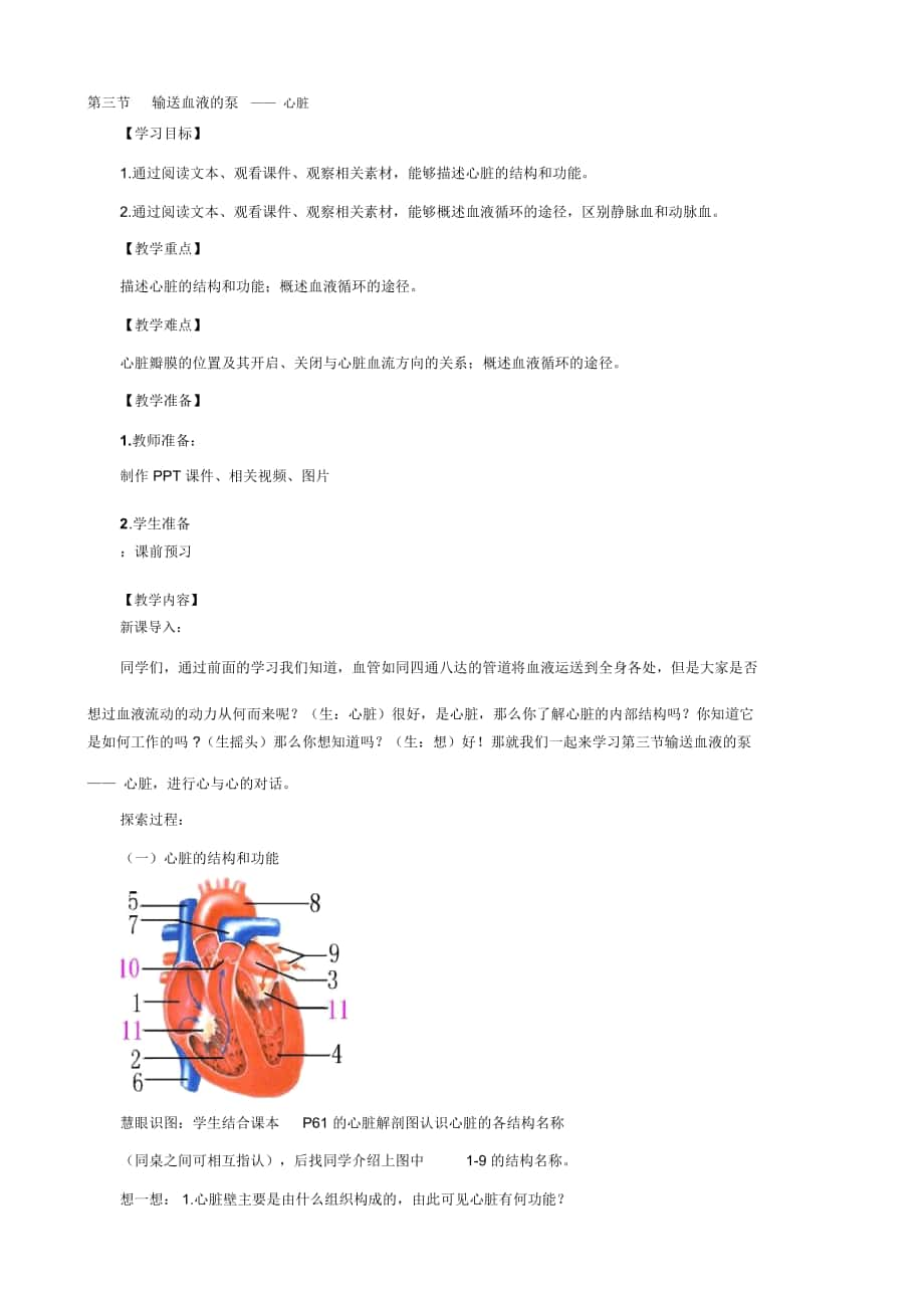 人教版七年级生物下册教案：4.3《输送血液的泵——心脏》_第1页