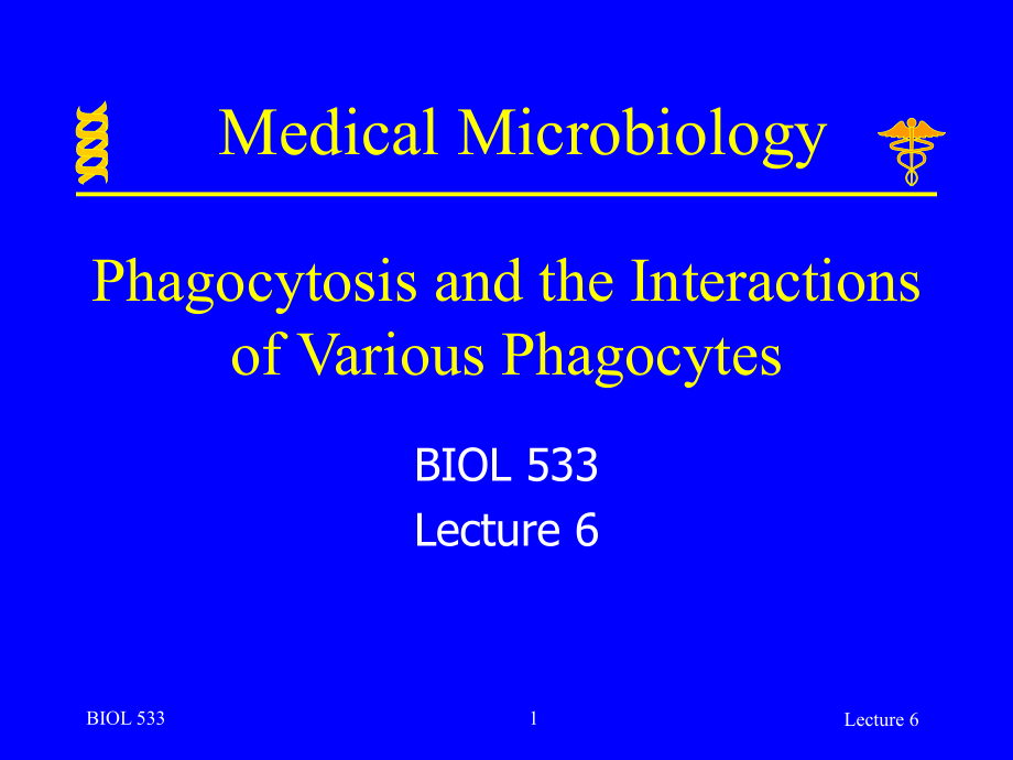 微生物学美国IndianaUniversityPurdueUniversity授课06_第1页
