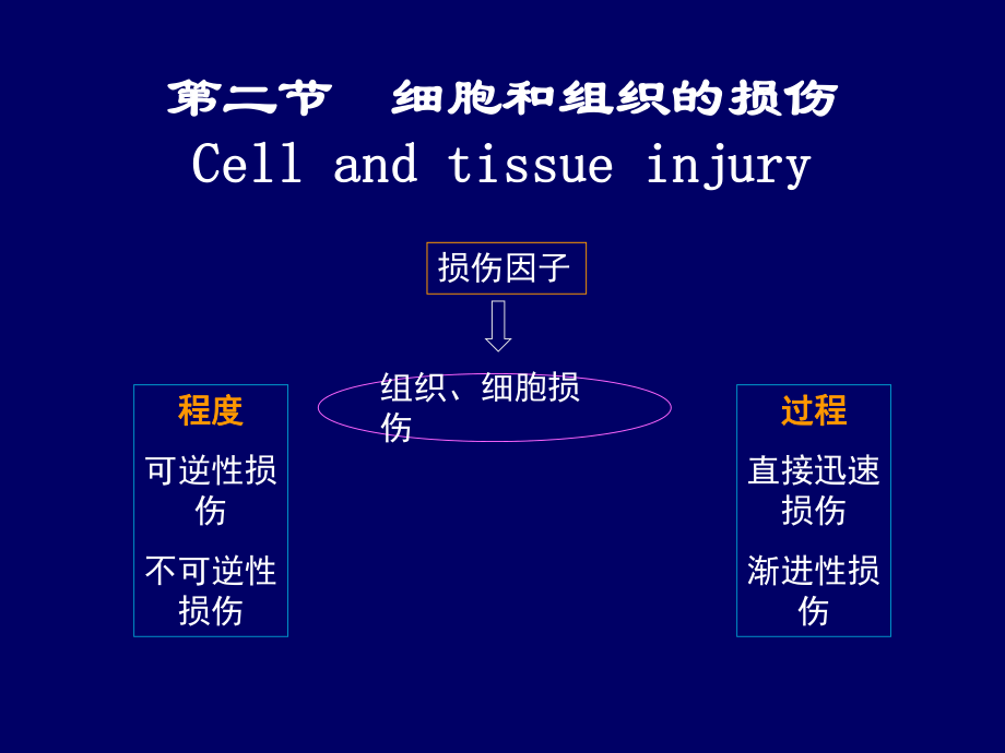 病理 12组织损伤_第1页
