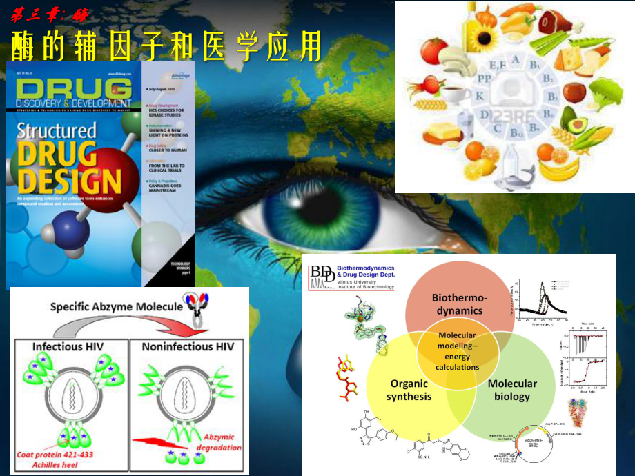 生物化学：03-3_酶的辅因子和医学应用_酶_第1页