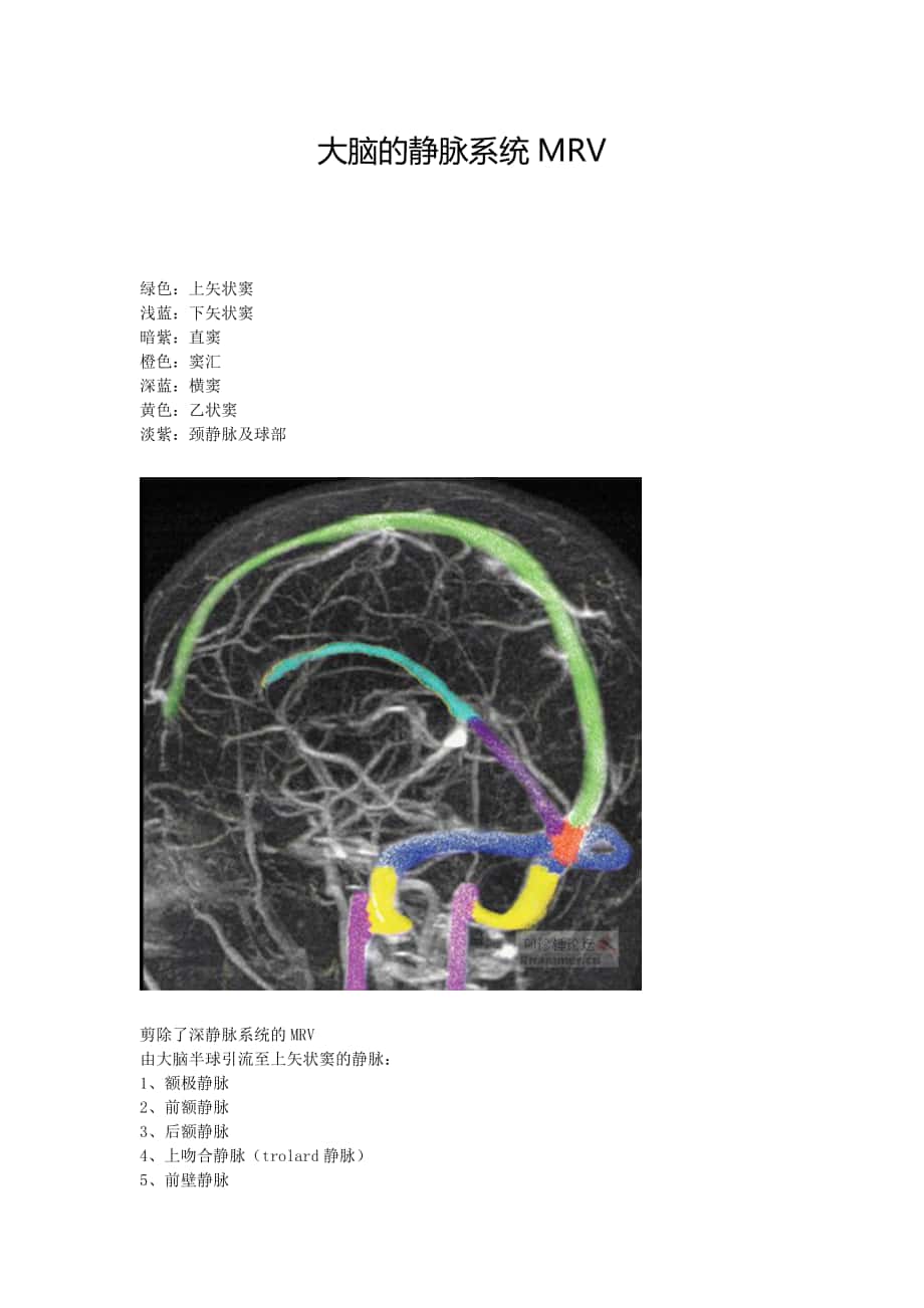 大脑的静脉系统MRV_第1页