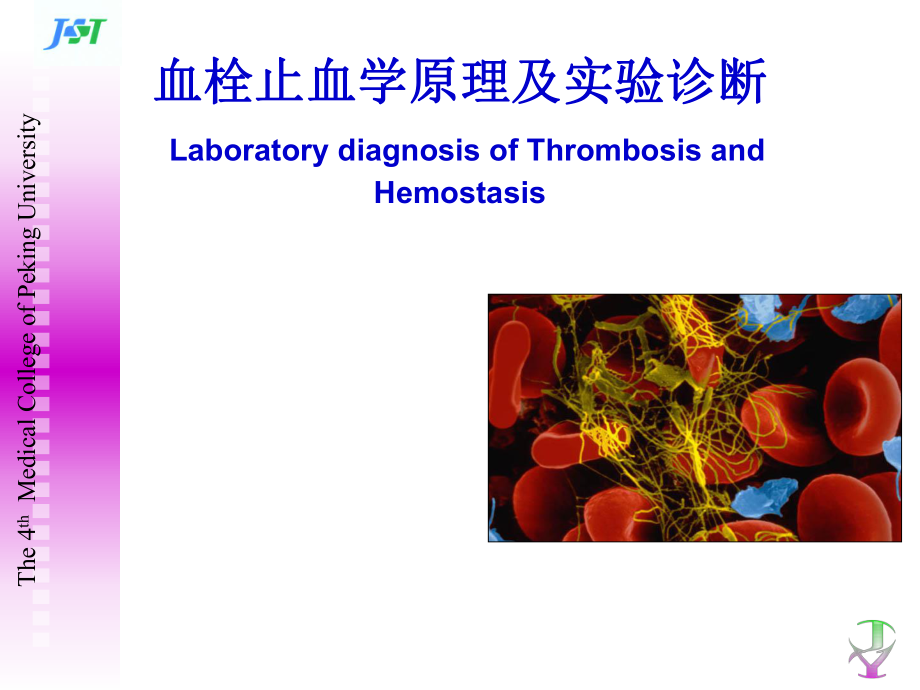 化诊教学课件：血栓止血学原理及实验诊断_第1页