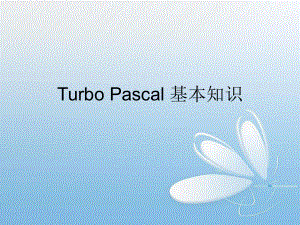 TurboPascal基本知识1