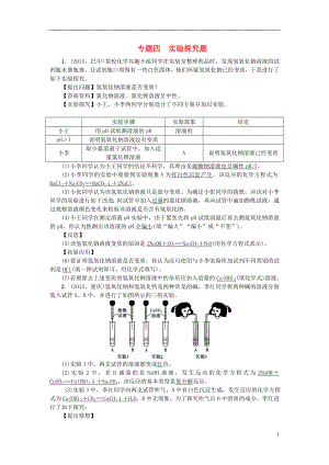 2017中考化學總復習 專題訓練 專題四 實驗探究題試題