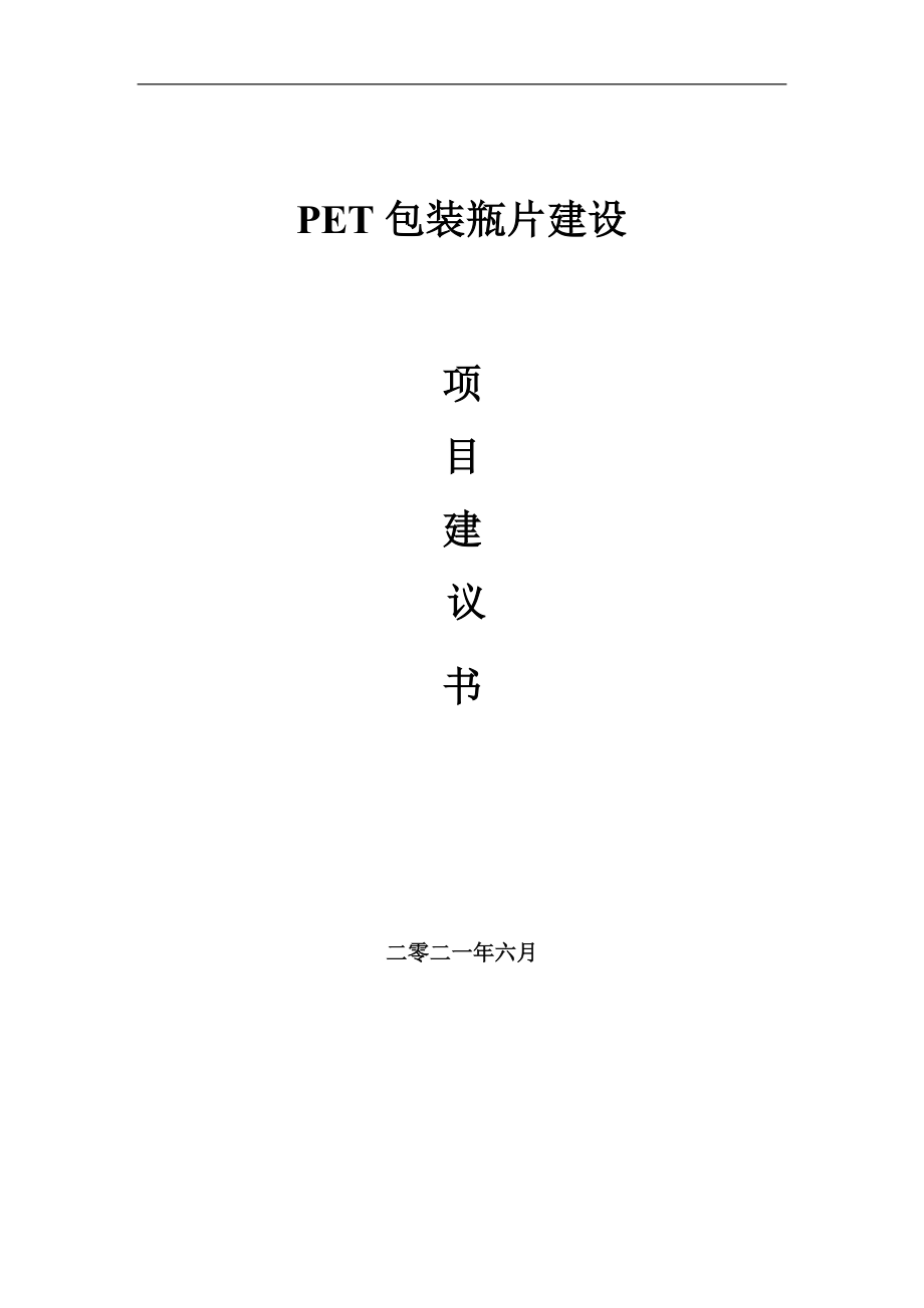 PET包装瓶片项目建议书写作参考范本_第1页