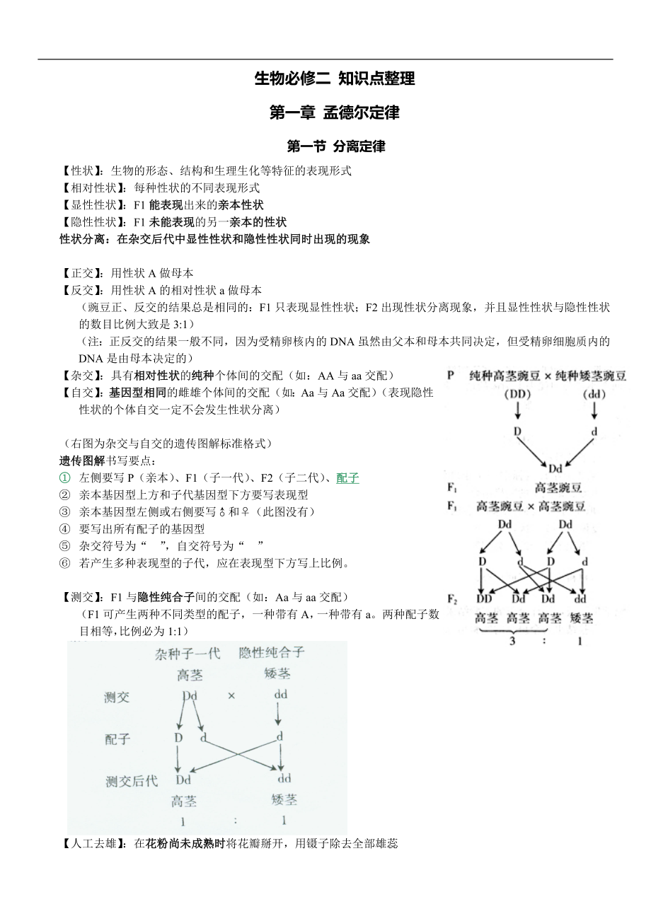 生物必修二 知識點整理_第1頁