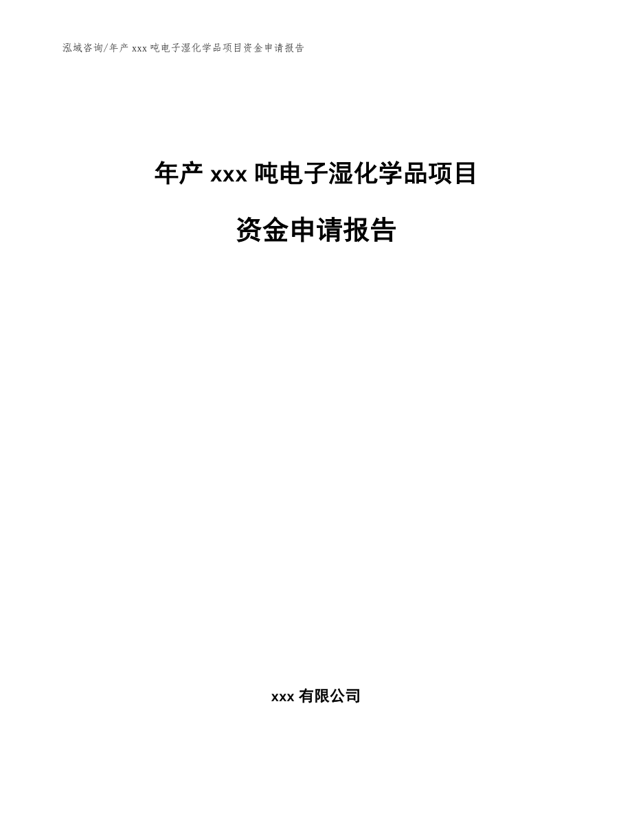 年产xxx吨电子湿化学品项目资金申请报告模板范文_第1页