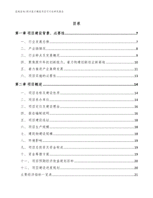 荆州显示模组项目可行性研究报告