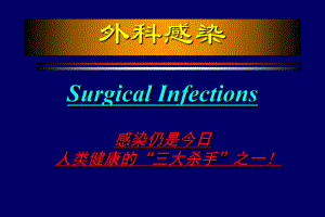 最新外科感染04级PPT文档