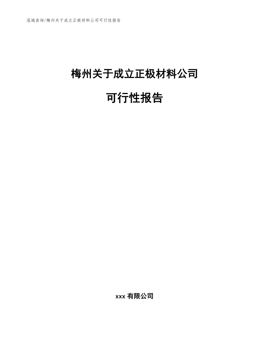 梅州关于成立正极材料公司可行性报告【范文模板】_第1页