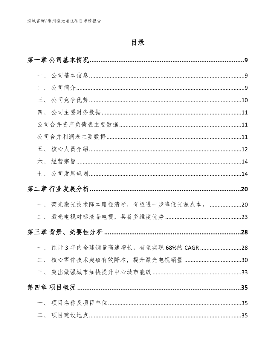 泰州激光电视项目申请报告_范文_第1页