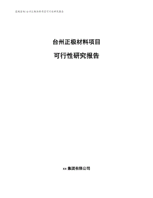 台州正极材料项目可行性研究报告_参考模板
