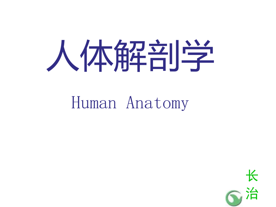03人体解剖学之脉管系统_第1页