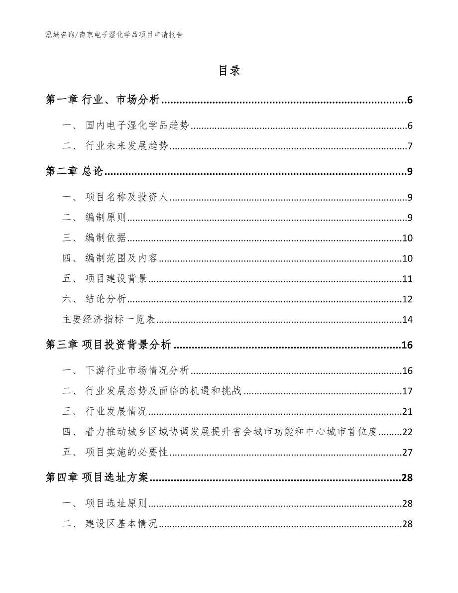 南京电子湿化学品项目申请报告_第1页
