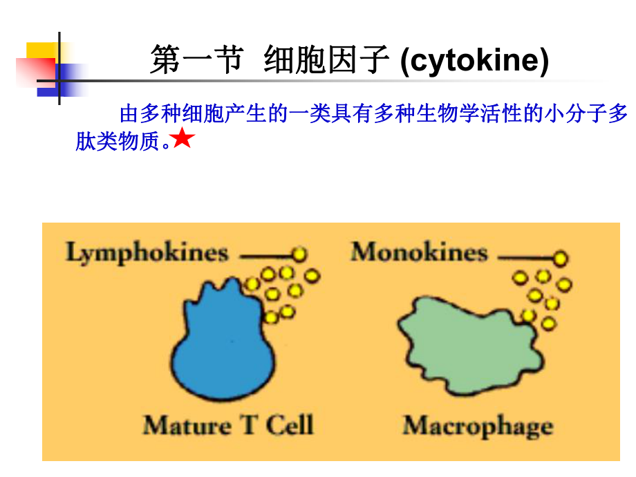 05细胞因子、CD分子、粘附分子精选文档_第1页