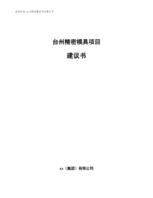 台州精密模具项目建议书模板