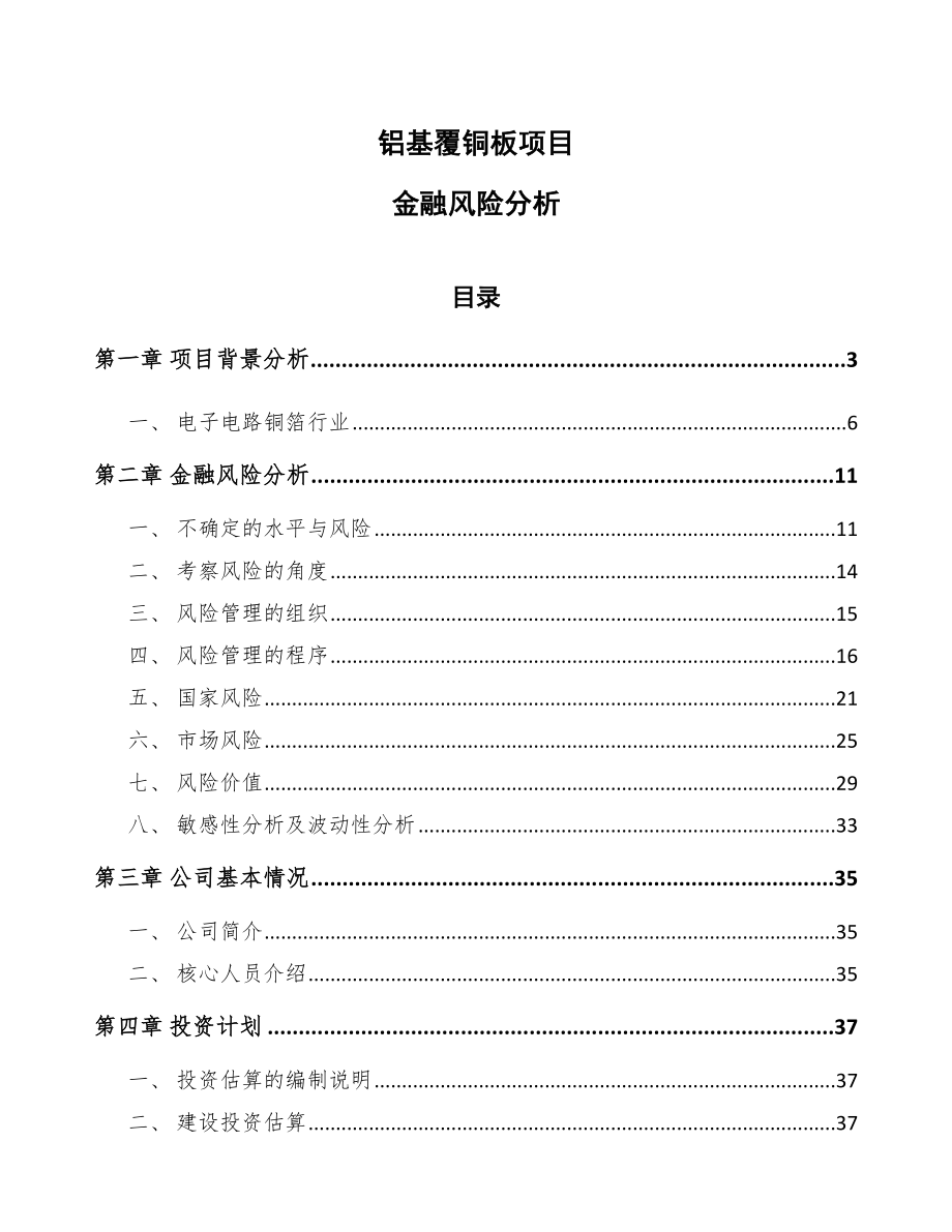 铝基覆铜板项目金融风险分析_第1页