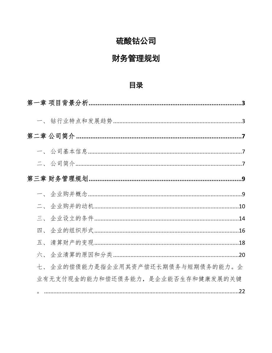 硫酸钴公司财务管理规划【参考】_第1页