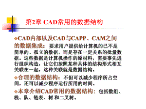 CAD常用数据结构ppt课件