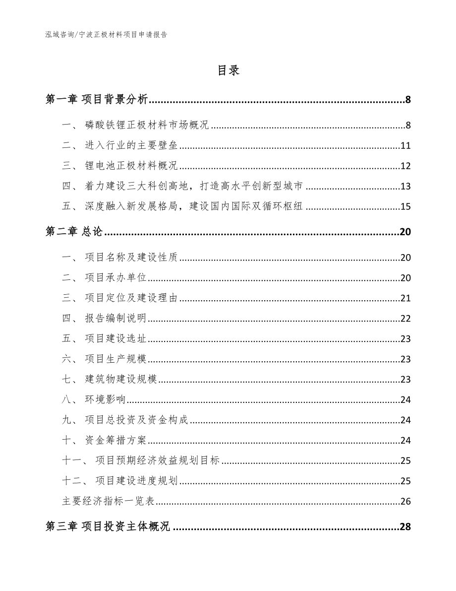 宁波正极材料项目申请报告_第1页