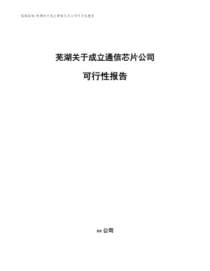 芜湖关于成立通信芯片公司可行性报告（模板）