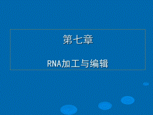 RNA加工与编辑课件