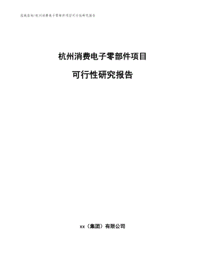 杭州消费电子零部件项目可行性研究报告模板范本