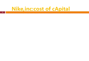 Nike,CostofCapital资本成本分析案例