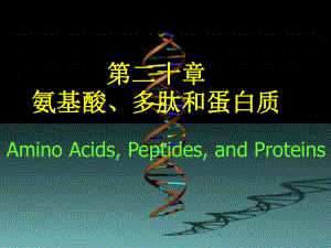 chapter21 氨基酸、蛋白质与核酸