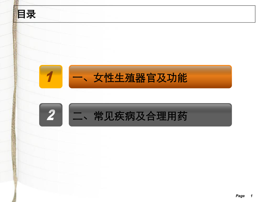妇科用药ppt图片