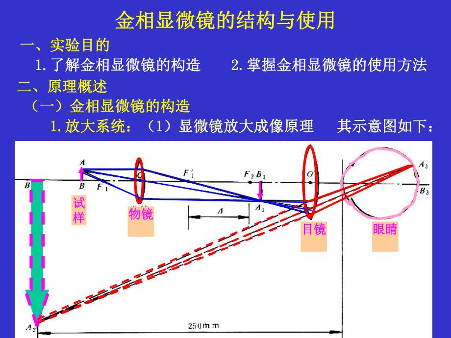 金相显微镜的结构与使用_第1页