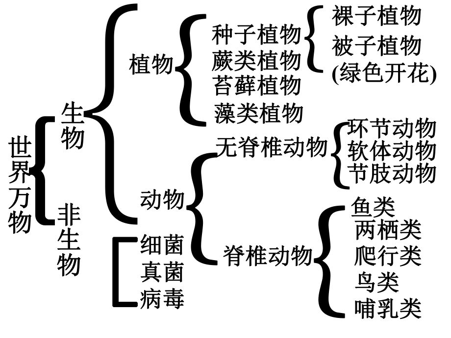 苏教版七年级生物上册复习提纲_第1页