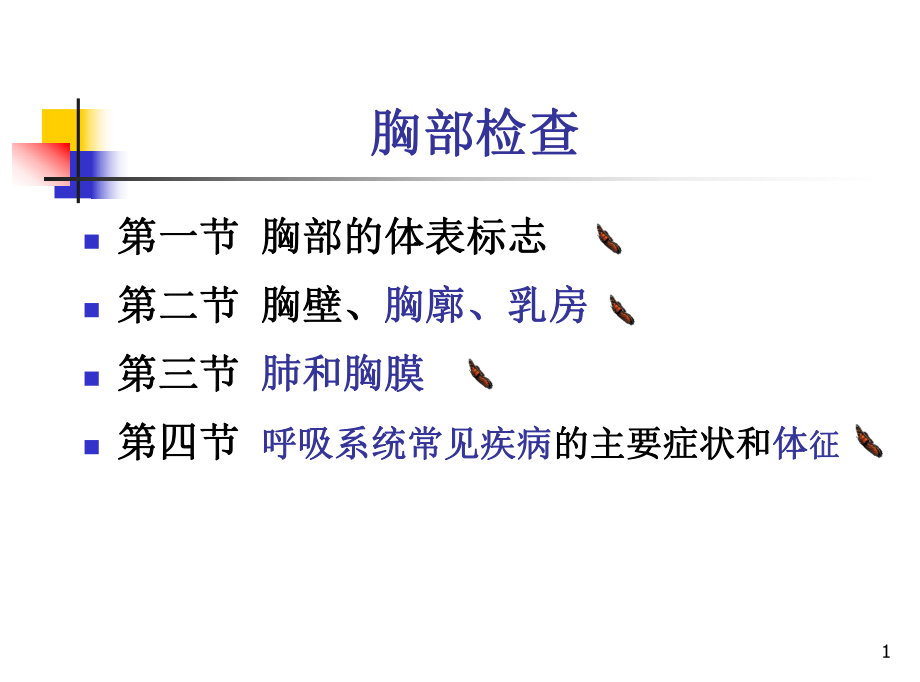 最新胸部检查PPT课件PPT文档_第1页